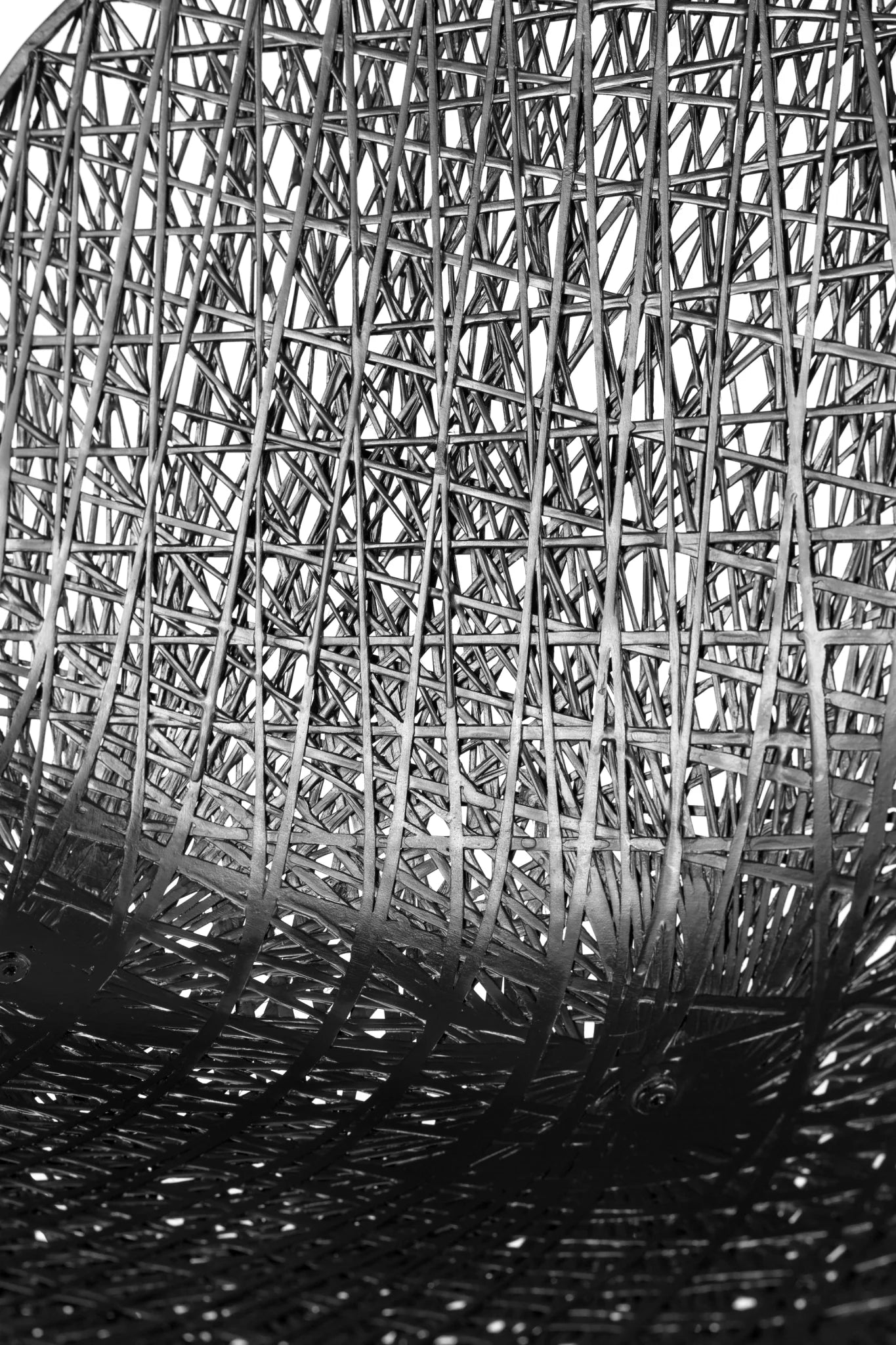 Moooi Carbon Chair