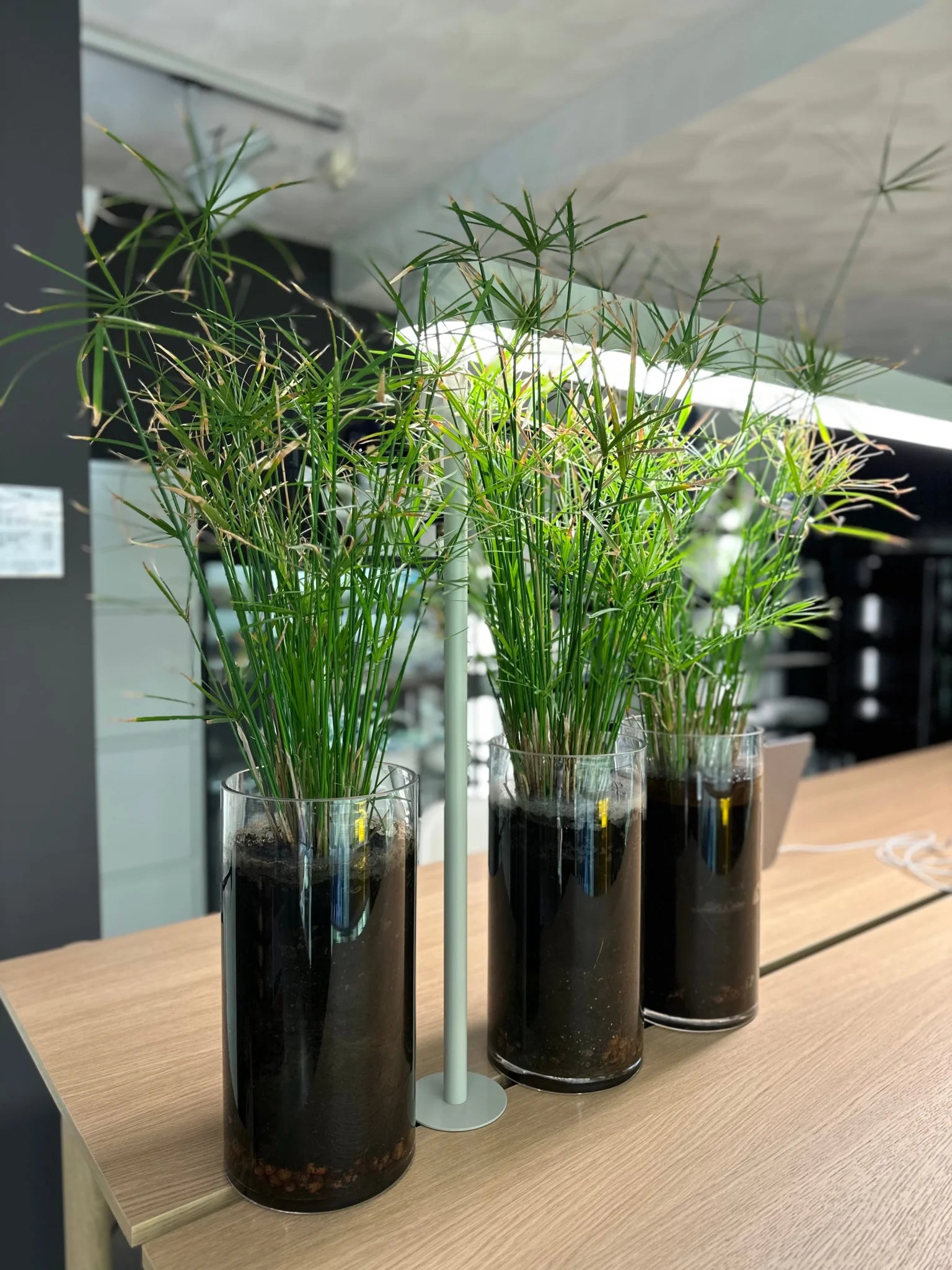 Muuto Linear System High Table