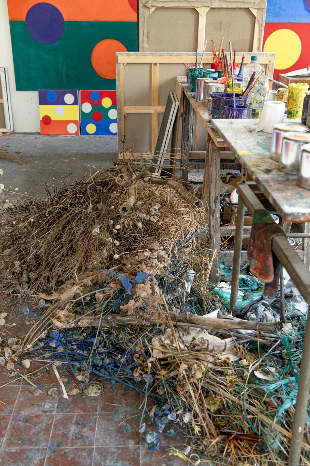 Piet Dieleman Atelier Piet Dieleman | Herbarium Monotypes 1 - Hahnemuhle 100% cotton paper 300g/m,