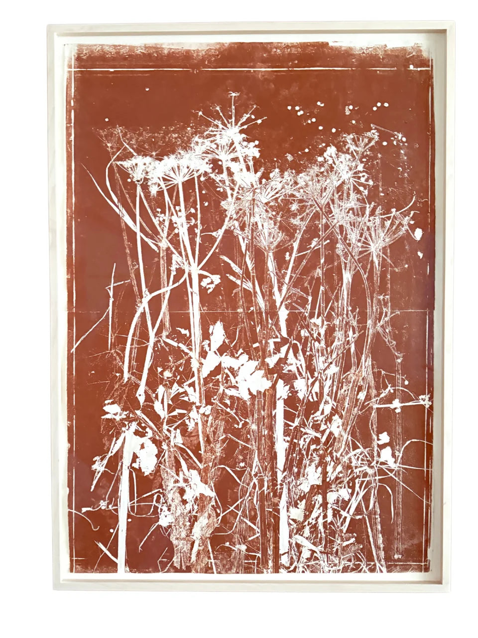 Piet Dieleman Atelier Piet Dieleman | Herbarium Monotypes 2 - Hahnemuhle 100% cotton paper 300g/m,