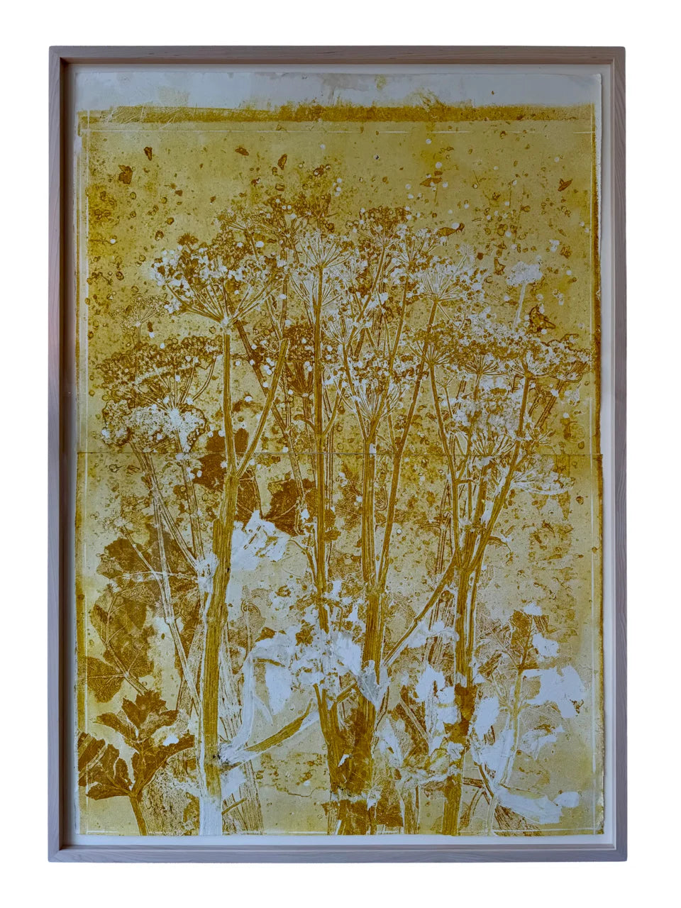 Piet Dieleman Atelier Piet Dieleman | Herbarium Monotypes 3 - Hahnemuhle 100% cotton paper 300g/m,