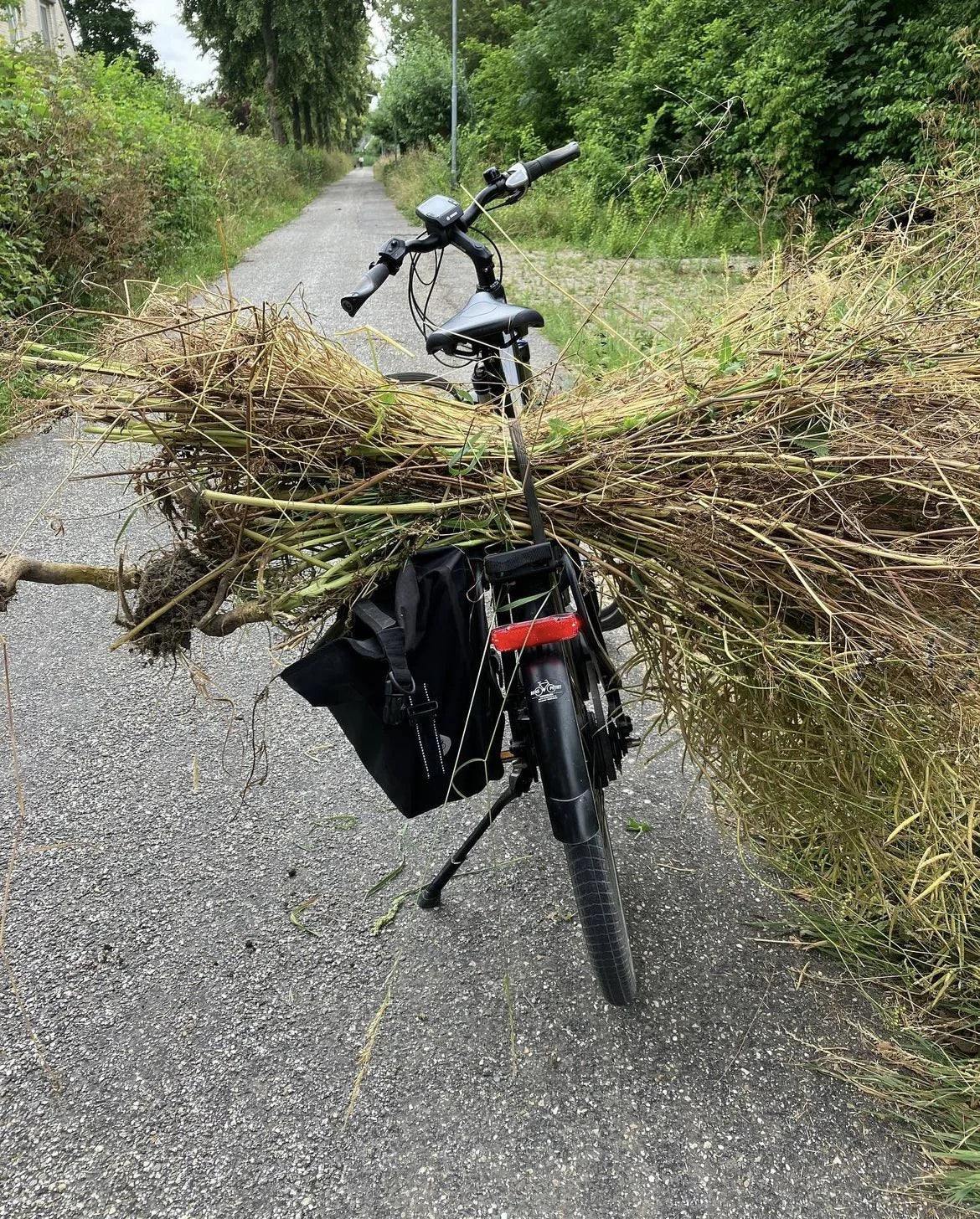 Piet Dieleman Atelier Piet Dieleman | Herbarium Monotypes 3 - Hahnemuhle 100% cotton paper 300g/m,