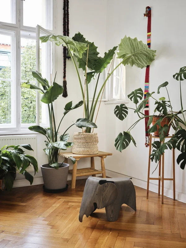 vitra Eames Elephant plywood