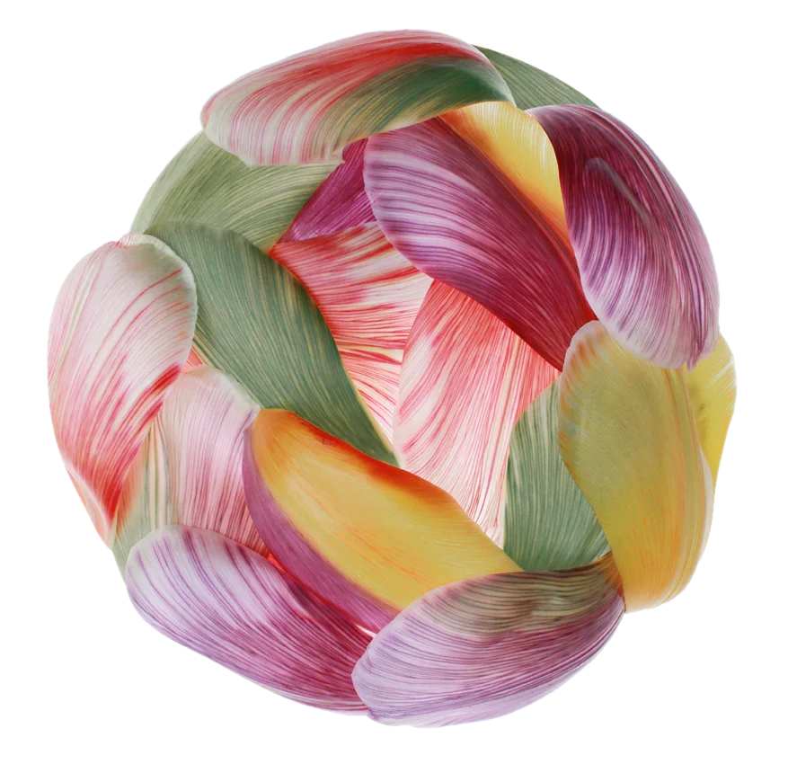 Moooi Carpets Tulip Mania rond - nest Ø 250 cm.