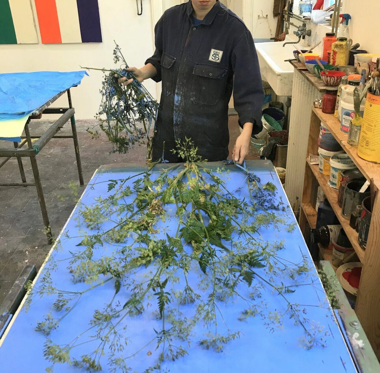 Piet Dieleman Atelier Piet Dieleman | Herbarium Monotypes 3 - Hahnemuhle 100% cotton paper 300g/m,