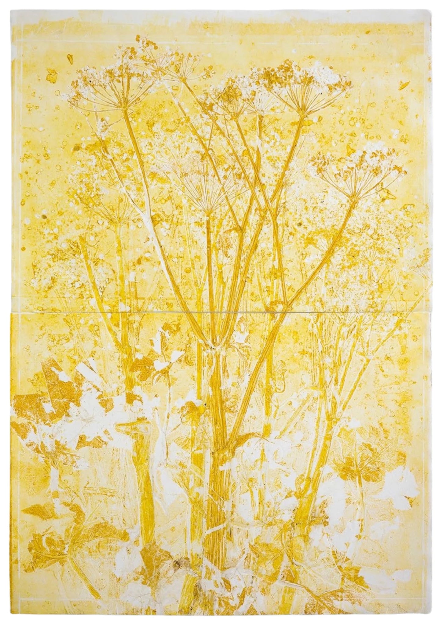 Piet Dieleman Atelier Piet Dieleman | Herbarium Monotypes 4 - Hahnemuhle 100% cotton paper 300g/m,