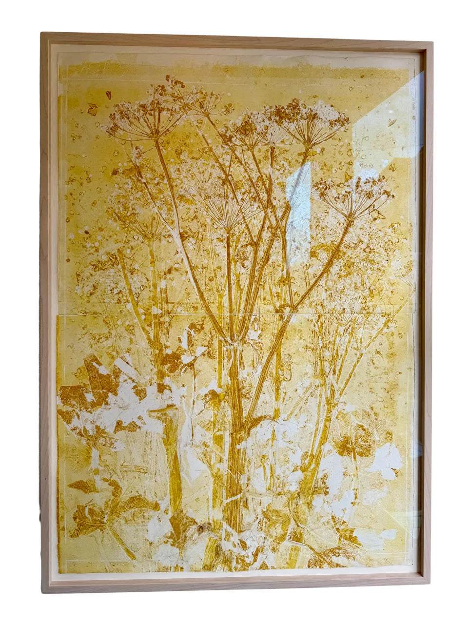 Piet Dieleman Atelier Piet Dieleman | Herbarium Monotypes 4 - Hahnemuhle 100% cotton paper 300g/m,